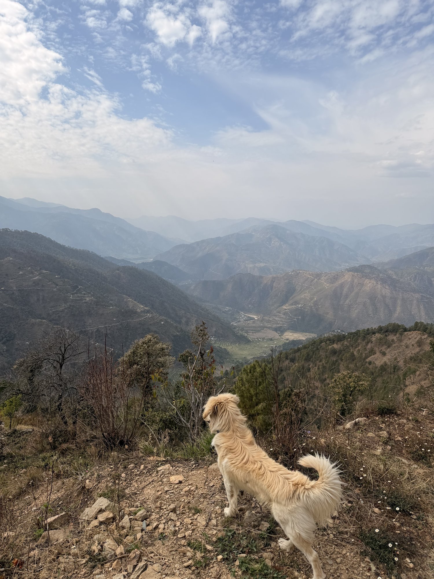 Valley view from the ridge