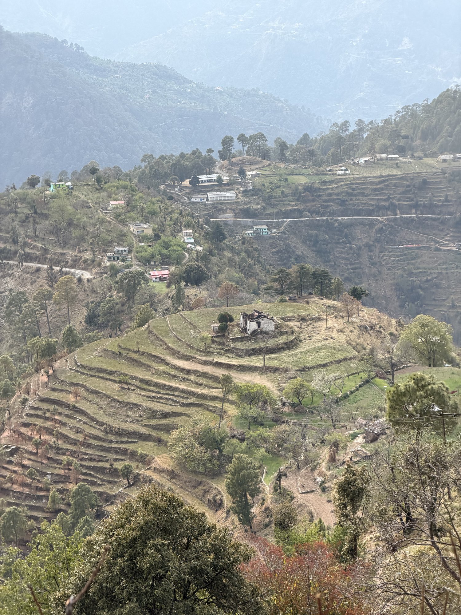 Terraced hillside in Hartola